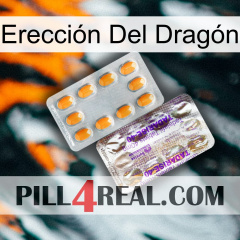 Erección Del Dragón new12